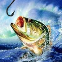 Fishing тип личности MBTI image