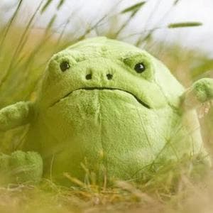 profile_Ricky Rain Frog