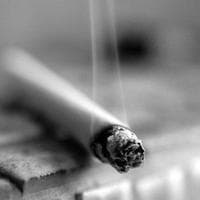 Cigarette Smoke tipo de personalidade mbti image