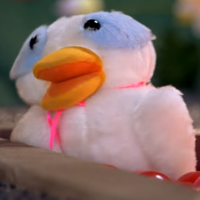 Pato Tengo Miedo mbti kişilik türü image