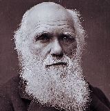 Charles Darwin tipo di personalità MBTI image