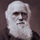 Charles Darwin mbtiパーソナリティタイプ image