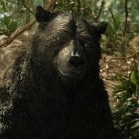 Baloo type de personnalité MBTI image