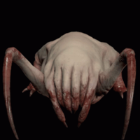 profile_Headcrab