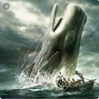 Whale тип личности MBTI image
