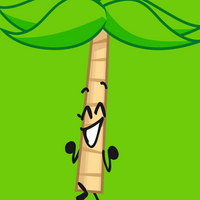 Palm Tree MBTI Personality Type image