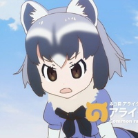 Raccoon MBTI Personality Type image