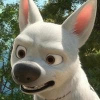profile_Bolt