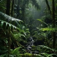 profile_Jungle