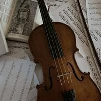 Violin نوع شخصية MBTI image