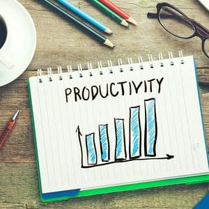 profile_Productive (XNXP)
