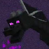 Ender Dragon (mob) tipo de personalidade mbti image