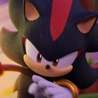 Shadow the Hedgehog MBTI Personality Type image