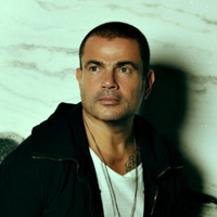 Amr Diab MBTI性格类型 image