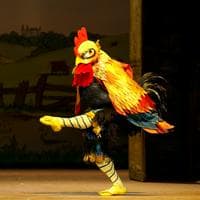 Rooster MBTI 성격 유형 image