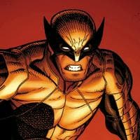 James Howlett “Wolverine” mbti kişilik türü image