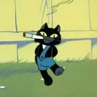 Kitten smoker tipo di personalità MBTI image