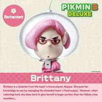 Brittany MBTI性格类型 image