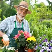 Gardener MBTI Personality Type image