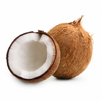 Coconut tipo di personalità MBTI image