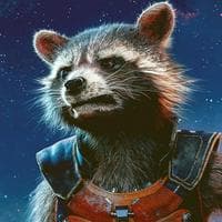 Rocket Raccoon tipo de personalidade mbti image