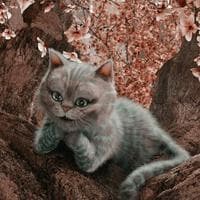 Cheshire Cat type de personnalité MBTI image