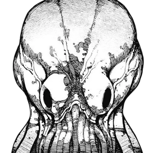 profile_Head Exosuit Kur