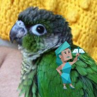 profile_istjoinks