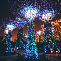 Gardens by the Bay (Singapore) mbtiパーソナリティタイプ image