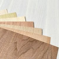 Eco friendly wood veneer type de personnalité MBTI image