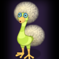 profile_Dandidoo