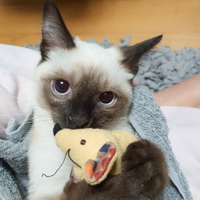 profile_Louis (WayV)