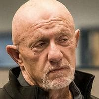 Mike Ehrmantraut mbti kişilik türü image