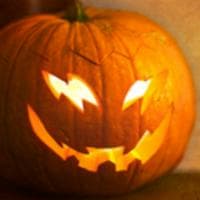 Pumpkin MBTI Personality Type image