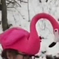 Jonathan Flamingo тип личности MBTI image