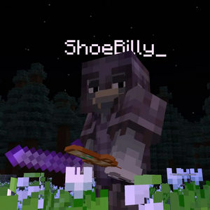 profile_ShoeBilly_