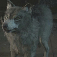 Wolfie نوع شخصية MBTI image