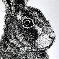 Watership Down