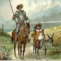 profile_Don Quixote