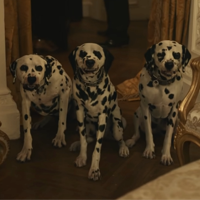 Baroness' Dalmatians MBTI Personality Type image