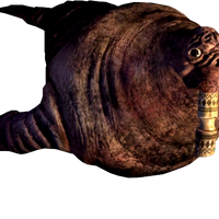 Walrus نوع شخصية MBTI image