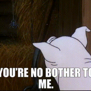 profile_You’re not bothering me