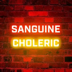 profile_Sanguine-Choleric (SanChol)