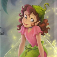 Disney Fairies