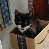 profile_Roxy Roxy Osborne