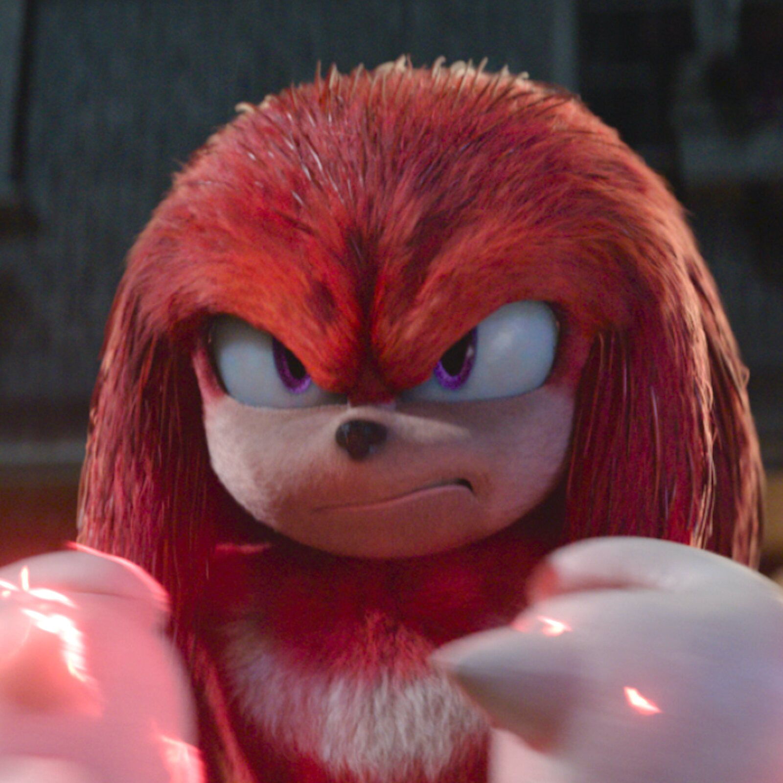 Knuckles the Echidna MBTI Personality Type image