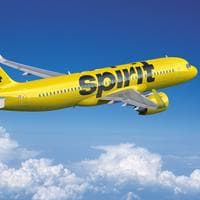 Spirit Airlines MBTI 성격 유형 image