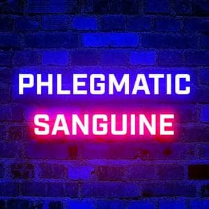 profile_Phlegmatic-Sanguine (PhlegSan)