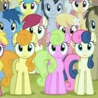 Earth Ponies type de personnalité MBTI image