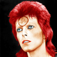 Ziggy Stardust mbtiパーソナリティタイプ image